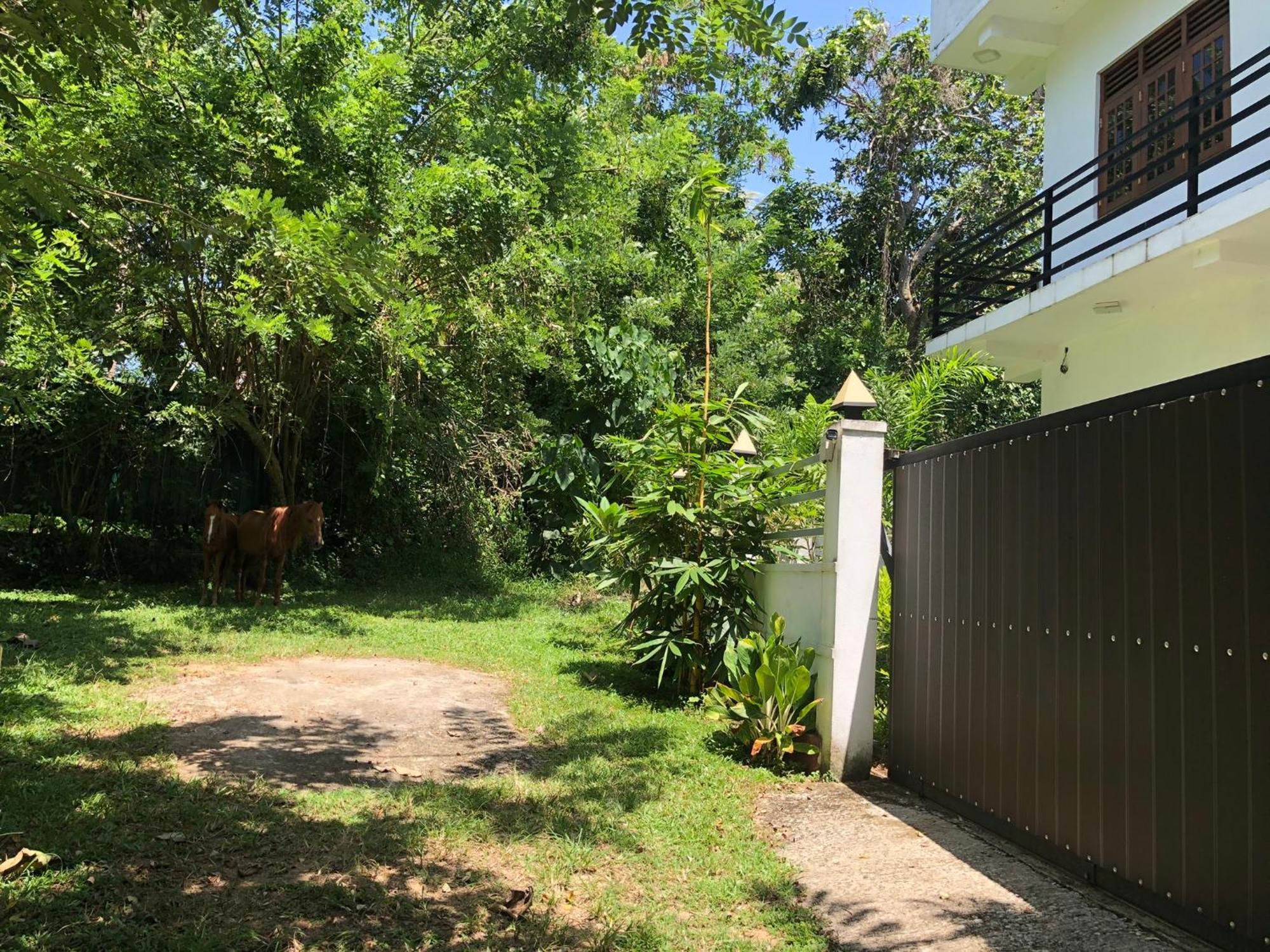 Lanka Villa Mirissa Exterior foto