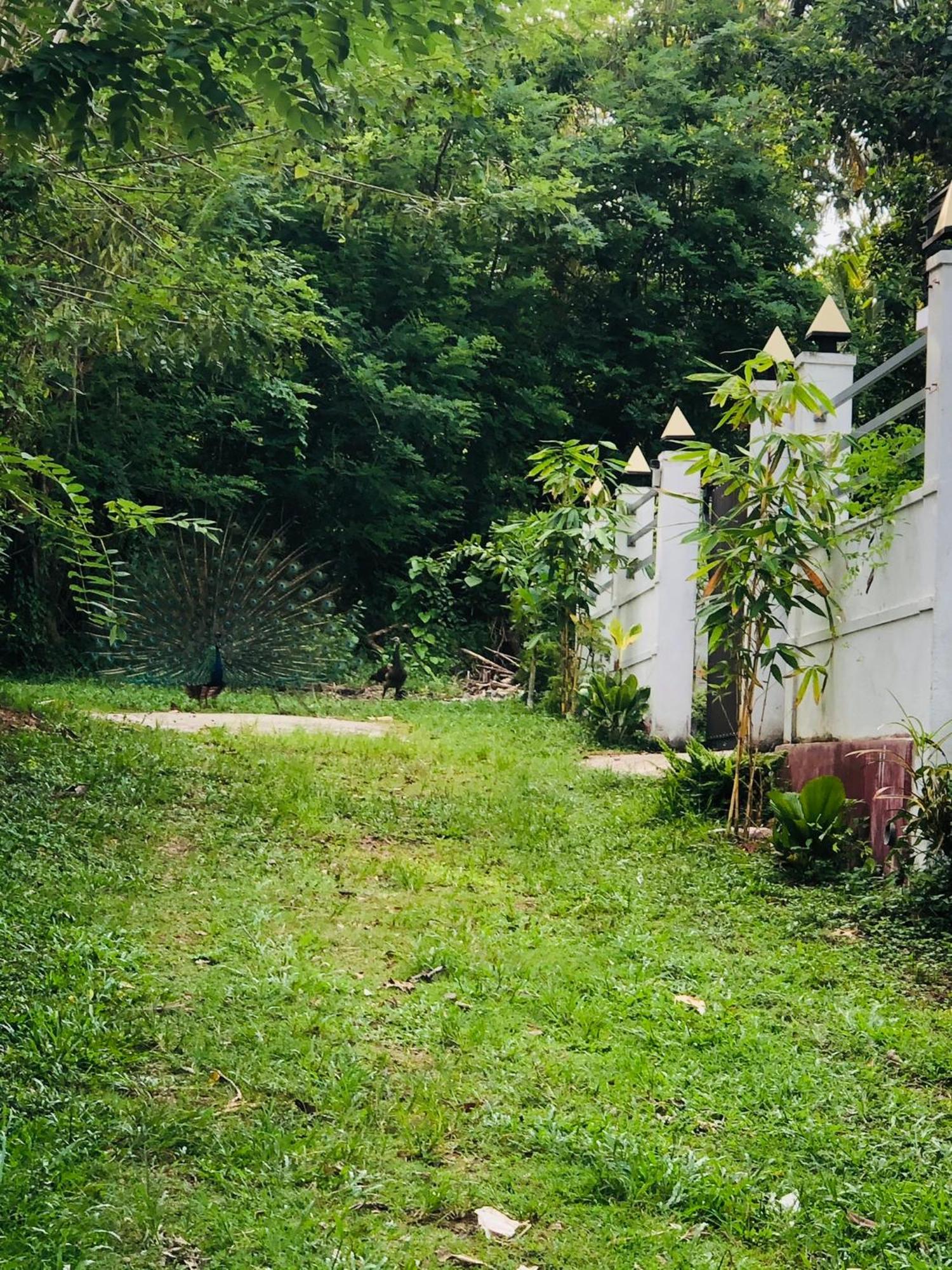Lanka Villa Mirissa Exterior foto